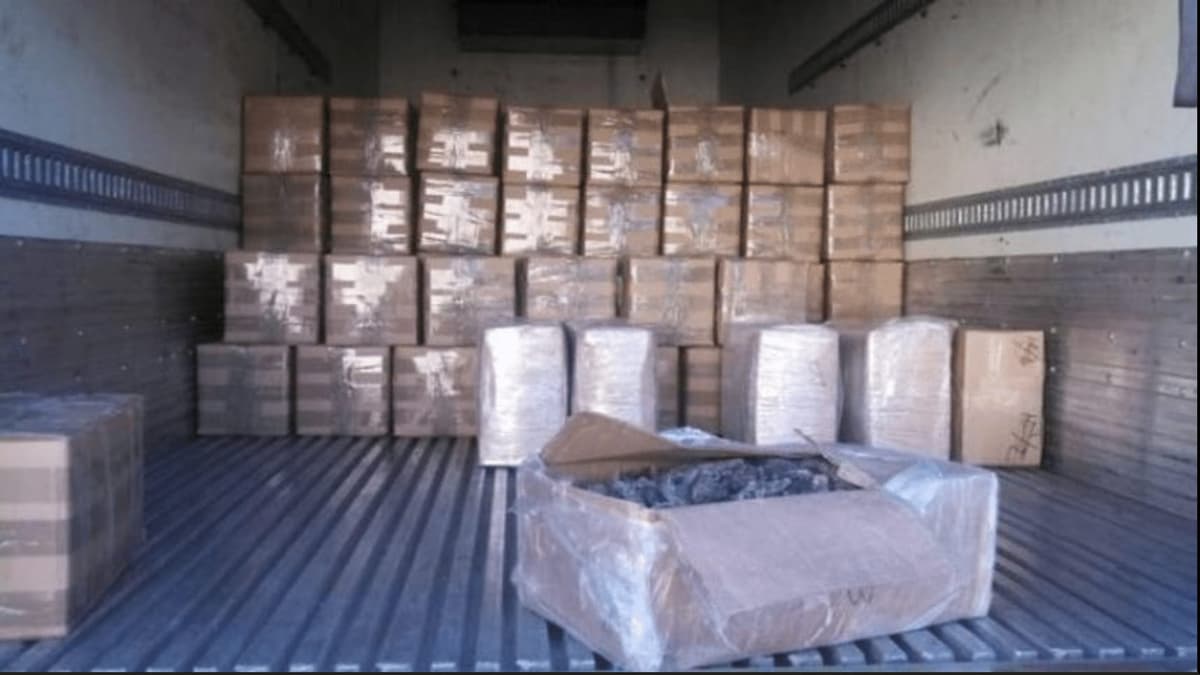 Policía Federal decomisa una tonelada de pepino de mar