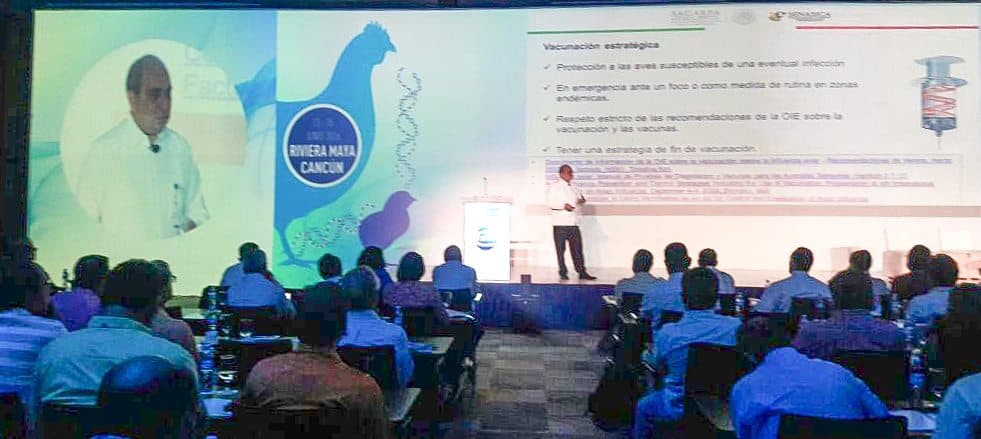 En foro internacional, analizan acciones contra Influenza Aviar