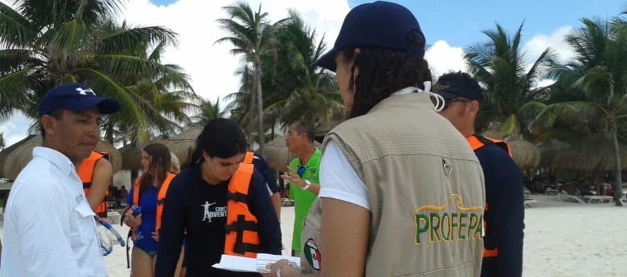 Interpone PROFEPA procedimientos contra 7 operadoras en Akumal, por no contar con los permisos correspondientes para el nado con tortugas