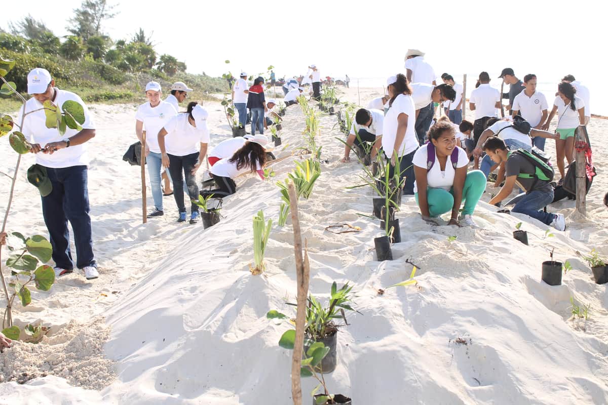 Implementarán programa para reforestar la ciudad