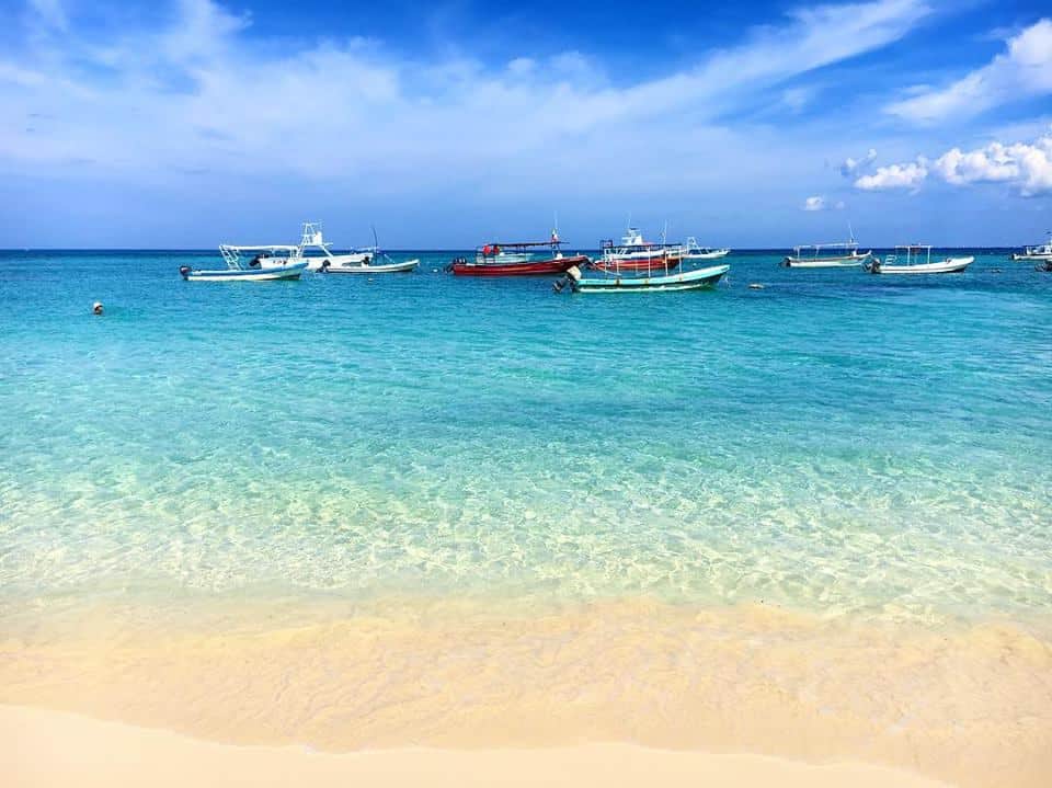 Organiza la Semarnat foro sobre la recuperación de playas del hotel The Reef Coco Beach
