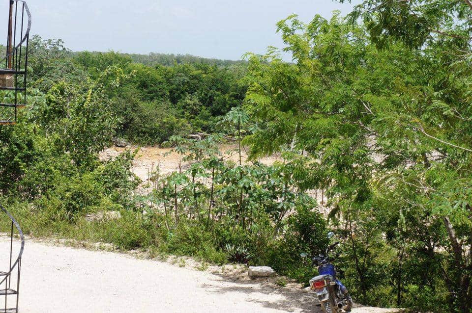 Va PROFEPA contra bloquera ABC (Ahora sí)