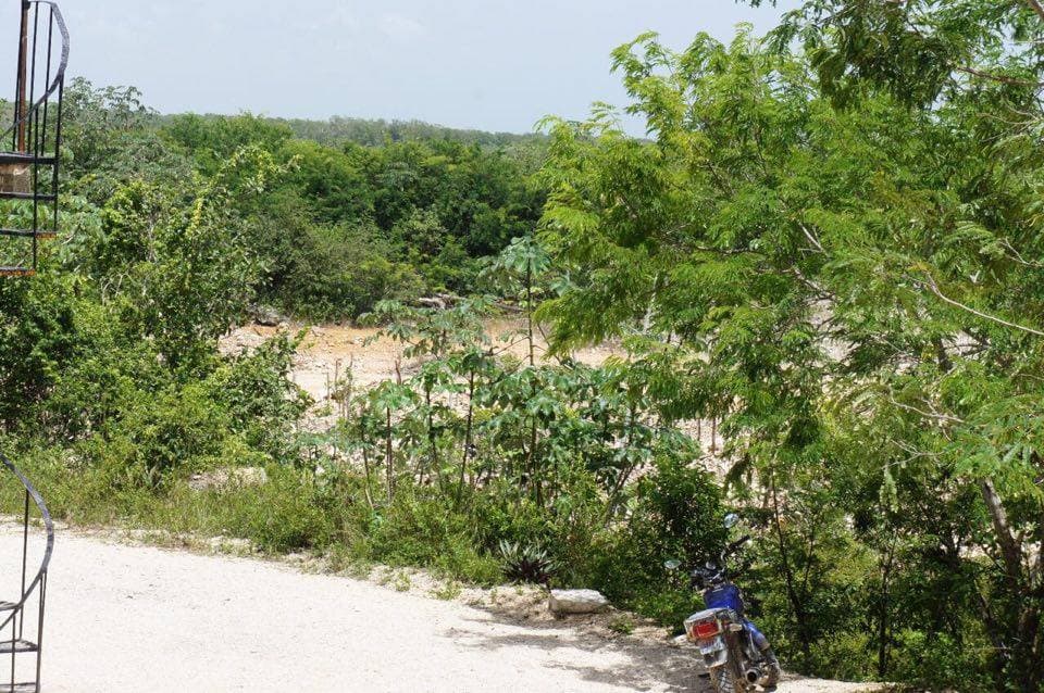 Va PROFEPA contra bloquera ABC (Ahora sí)