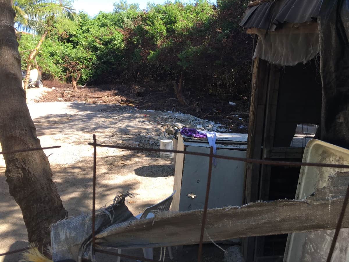 Otro ecocidio en Playa del Carmen: devastan mangle