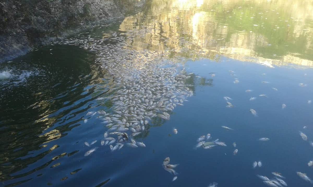 Marciano Toledo demandará a AGUAKAN por 5 mil millones de pesos