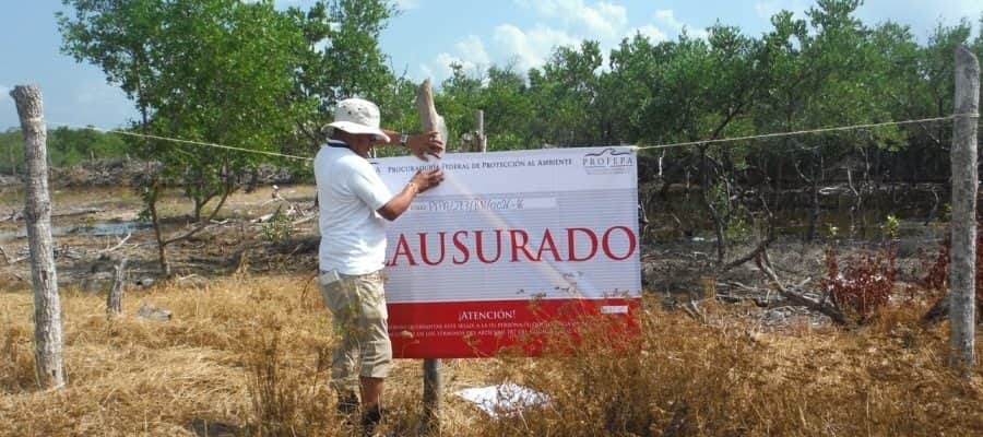 Clausura la PROFEPA predio en Holbox
