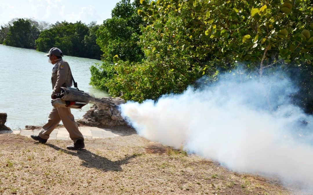 Se intensifica el combate a las enfermedades transmitidas por vector