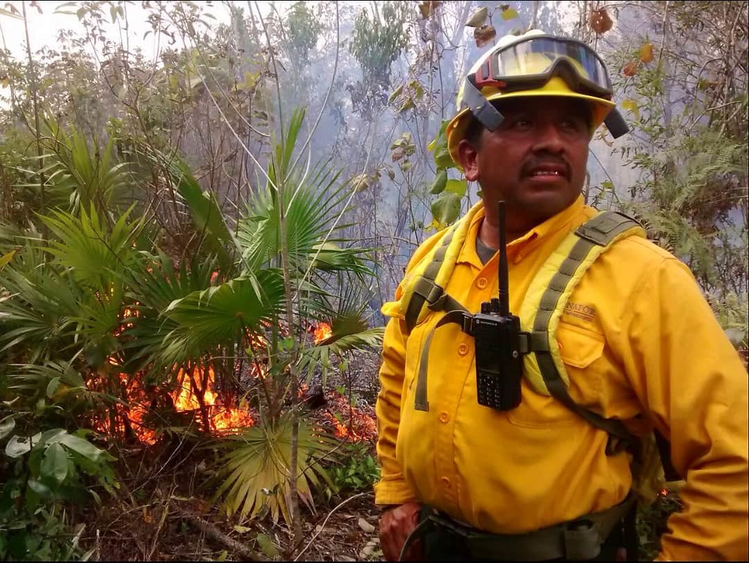 CONAFOR y SEDENA atacan cuatro incendios causados por quemas agropecuarias