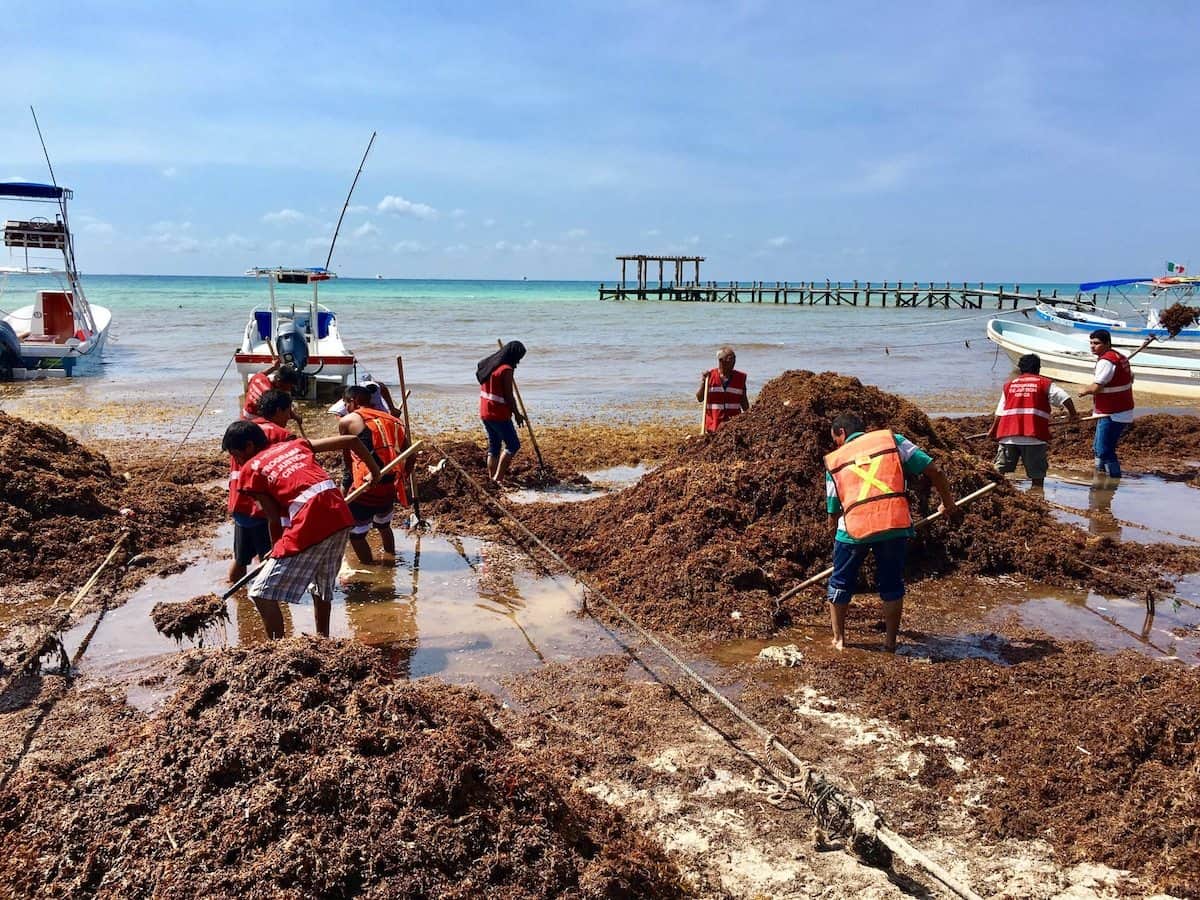 Infractores rehabilitan Solidaridad