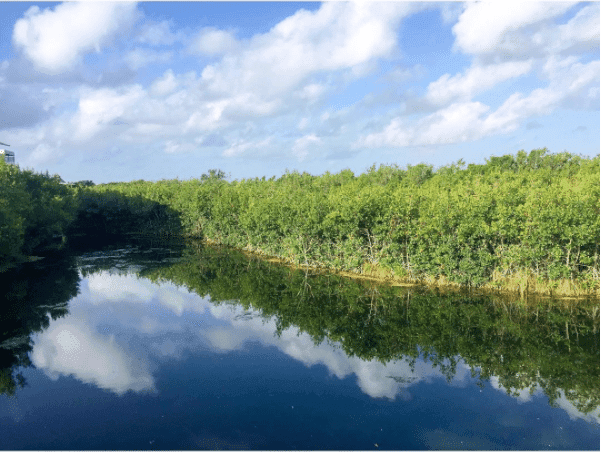 Cielo nublado y temperaturas bochornosas en Quintana Roo