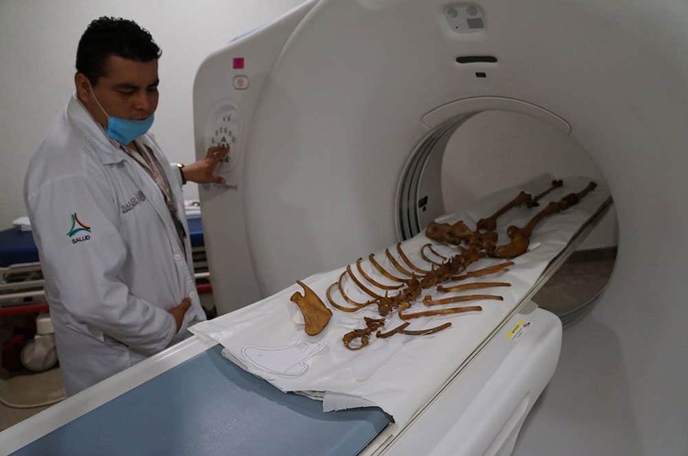 Los restos de Naia quedarán bajo resguardo del Museo Nacional de Antropología