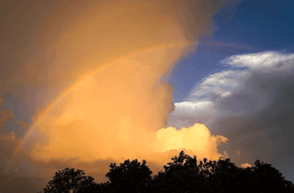 Onda Tropical No. 31 se localiza en el Mar Caribe