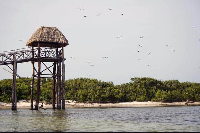 Sectur inyectará más de 810 millones de dólares a Quintana Roo