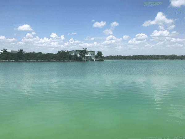 Quintana Roo es líder en ocupación hotelera