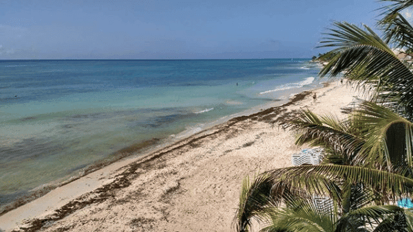 Vuelven cielo despejado y altas temperaturas a Quintana Roo