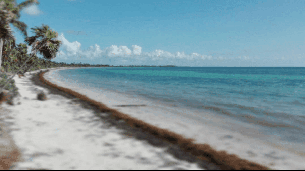 Canal de Baja Presión provocará temperaturas muy calurosas