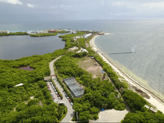 Iniciaron devastación para construir el polémico Riu Riviera-Cancún