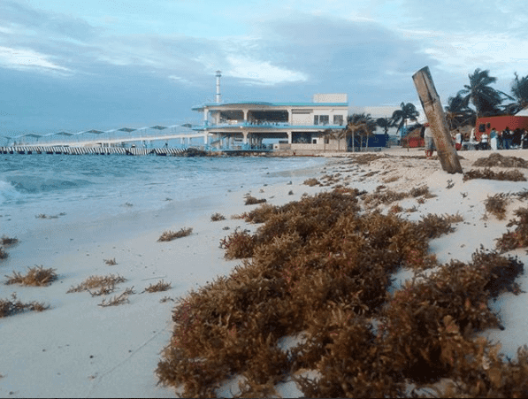 Temperaturas calurosas y lluvias con chubascos por entrada de Onda Tropical No. 32