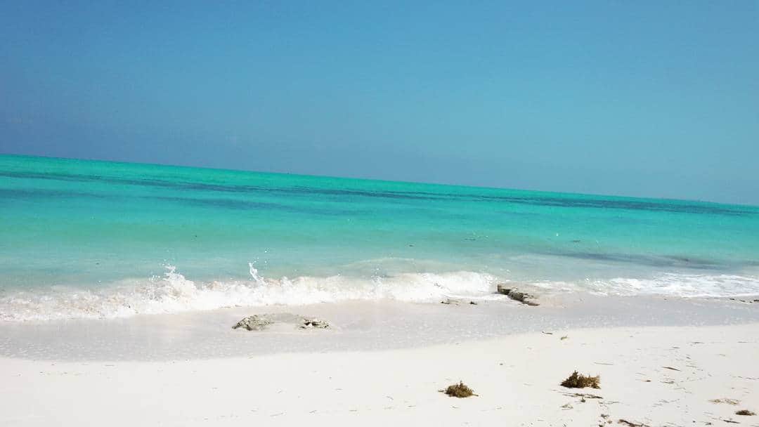 Se prevén temperaturas calurosas durante el día