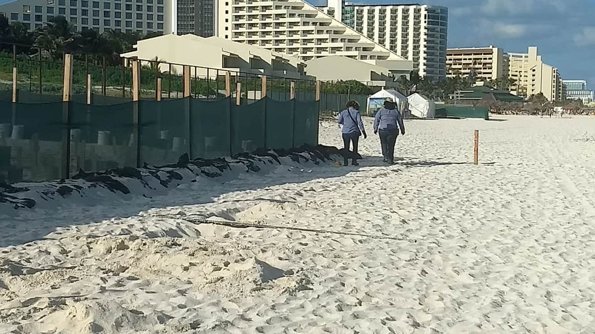 Pretenden construir Gran Solaris en Playa Delfines