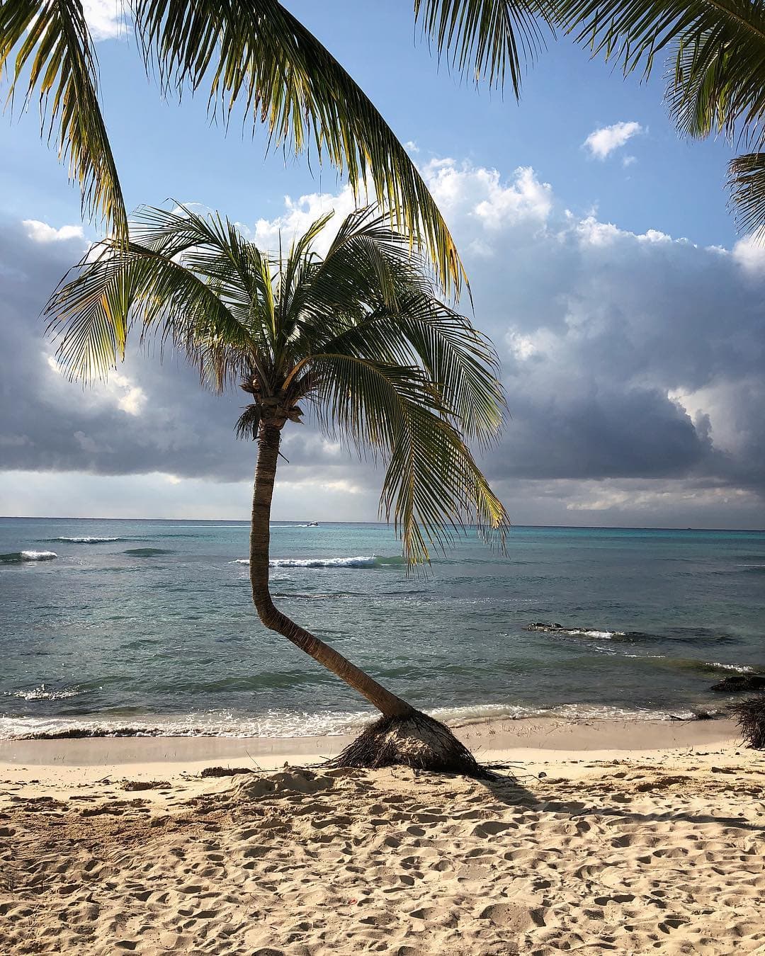 Depresión Tropical No. 19 no representa peligro para Quintana Roo