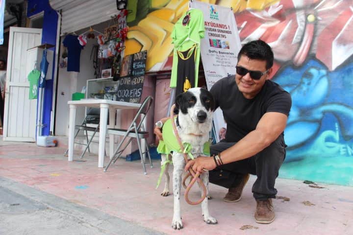 Buscan hogar para 73 animalitos abandonados por dueños irresponsables