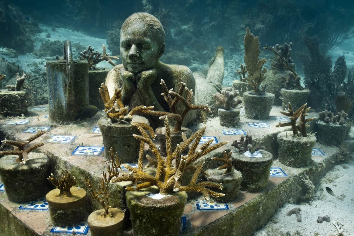 No habrá Museo del Mar Caribe en Playa de Carmen, no pudieron convencer a Semarnat