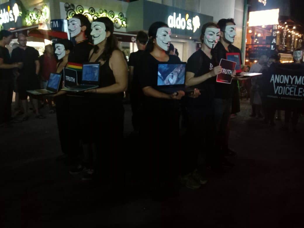 Imposible matar animales humanamente: Anonymous for the voiceless