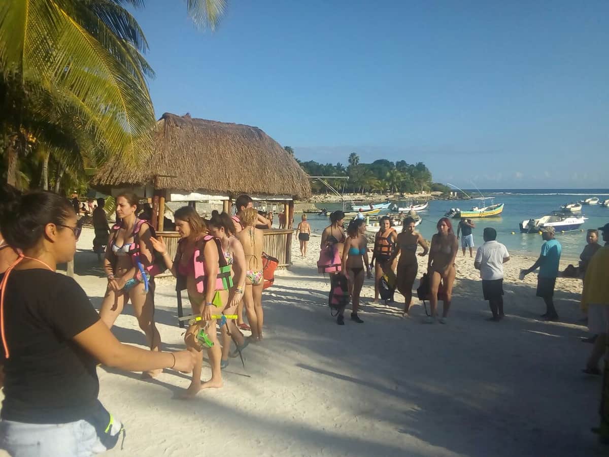 Saca Profepa a turistas del nado con tortugas en Akumal