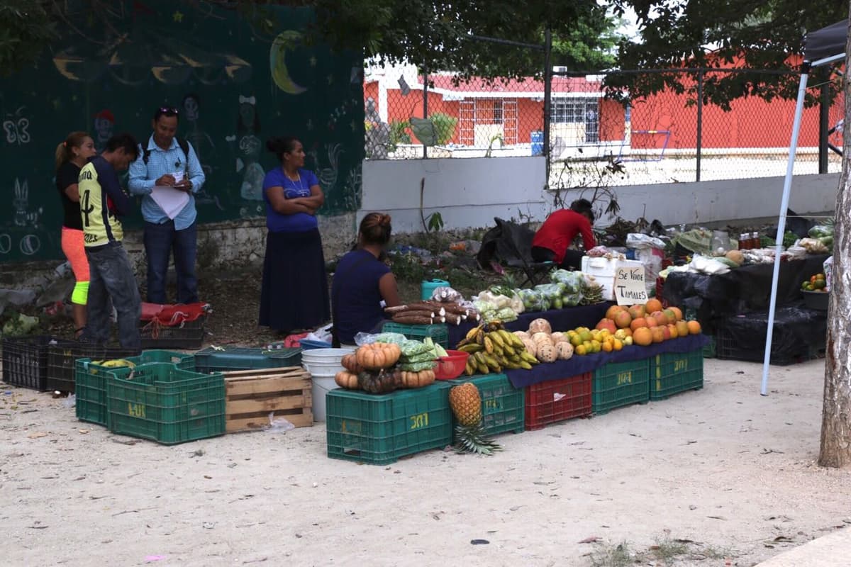 Reubican en tianguis de Nueva Creación a vendedores de frutas y verduras