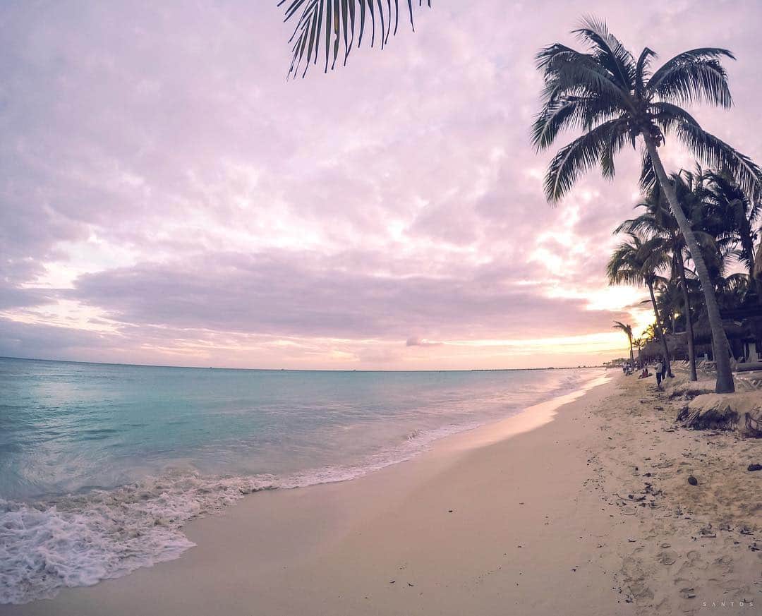 Playa del Carmen será sede de la Quinta Cumbre Mundial del Océano
