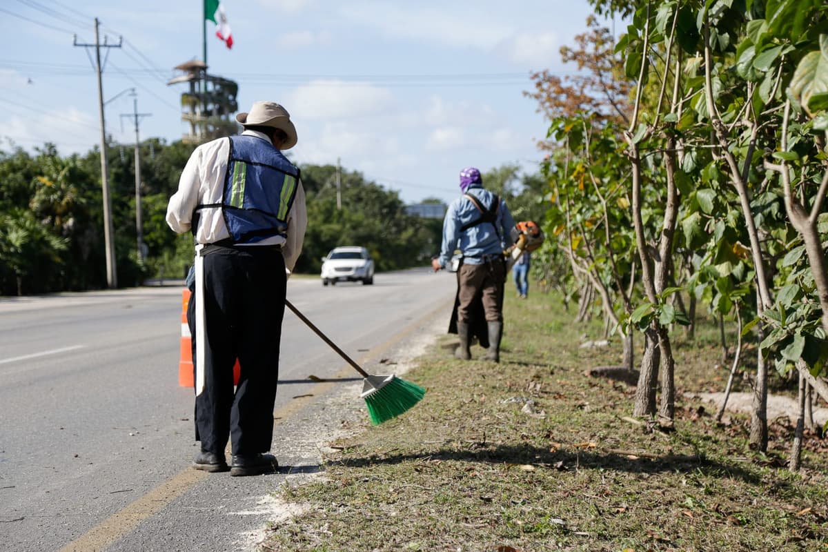 Mejoran imagen urbana con limpieza de más de 167 km. de camellones en Solidaridad