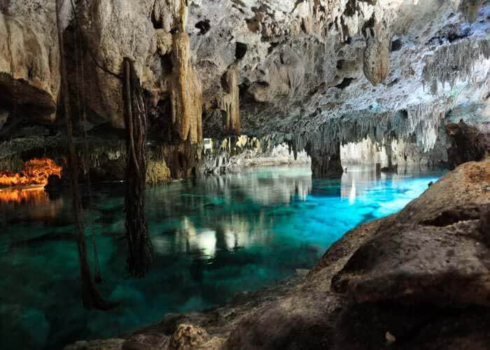 Felino prehistórico es hallado en cenote de Tulum
