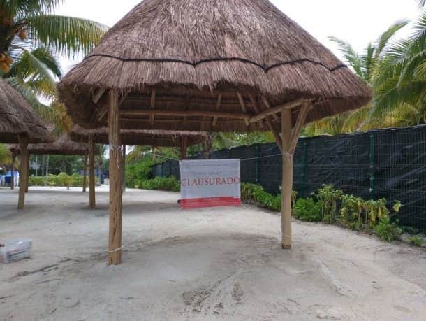 Protege Profepa a tortugas, clausura obras