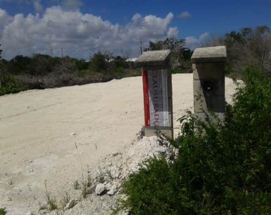 Frenan relleno de manglar en Mahahual