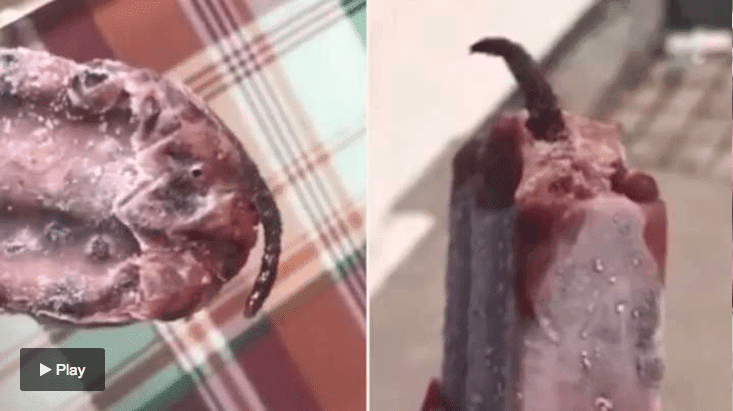 Encuentra cola de ratón en su helado y no creerás lo que hizo después