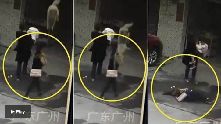 El momento en que un perro cae desde un edificio sobre una mujer que ahora lucha por su vida