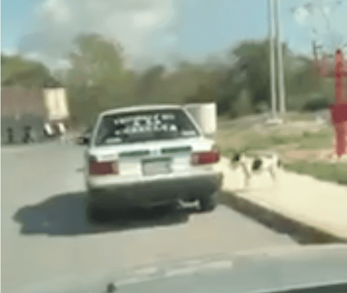 Taxista de Cancún arrastra a perro amarrado a su unidad