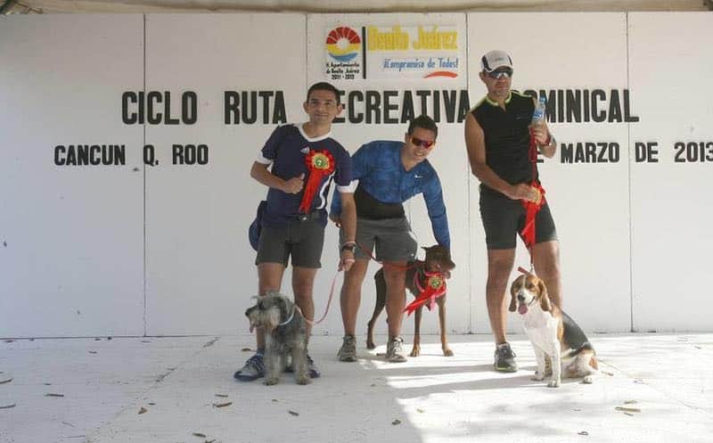 Alistan carrera con perros en Playa del Carmen