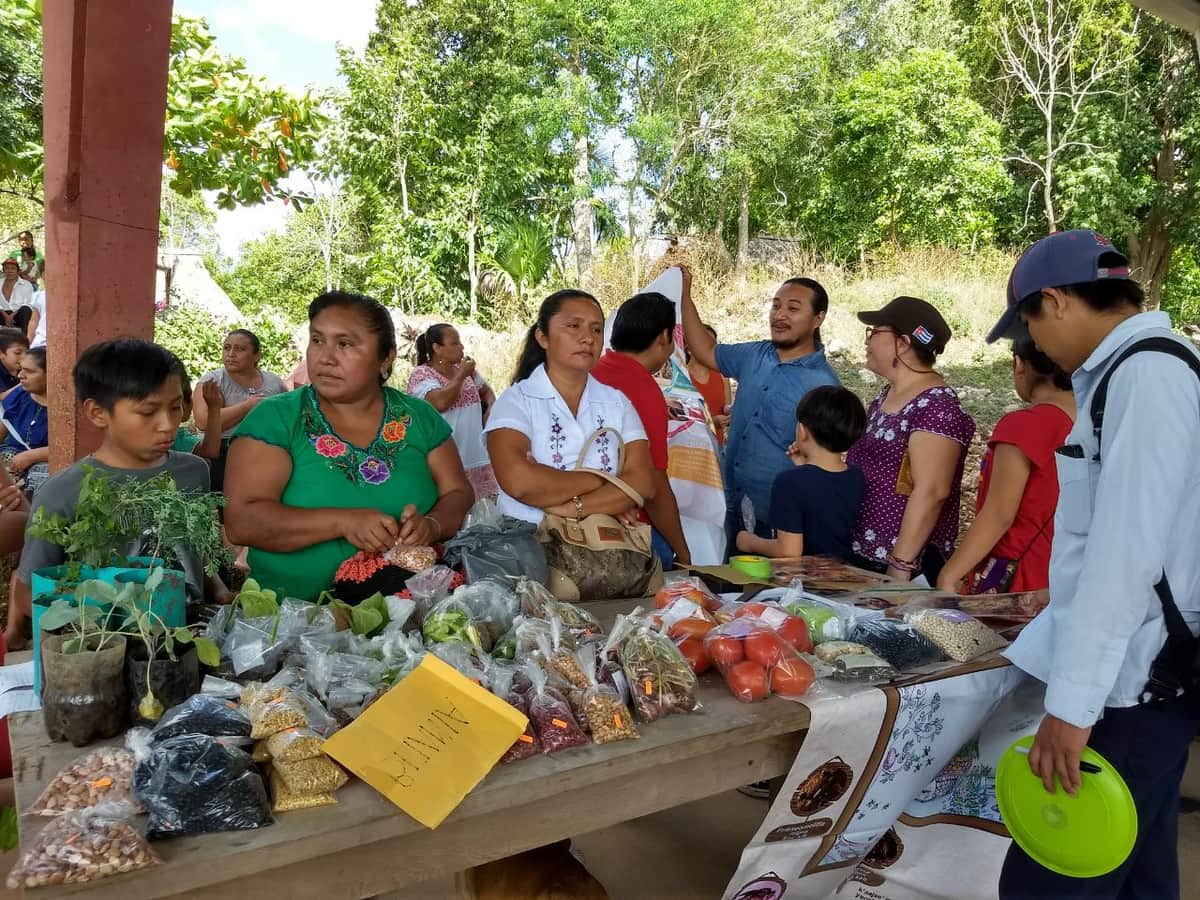 Se congregan defensores de las semillas nativas