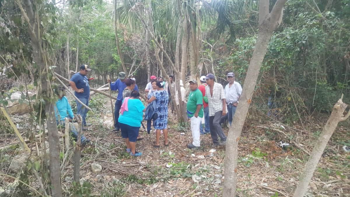 Acusan invasión en la colonia Proterritorio de Chetumal