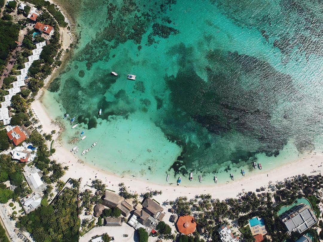 Descubriendo Akumal, tierra de tortugas