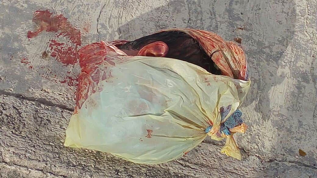 Hallan cabeza humana en la 233