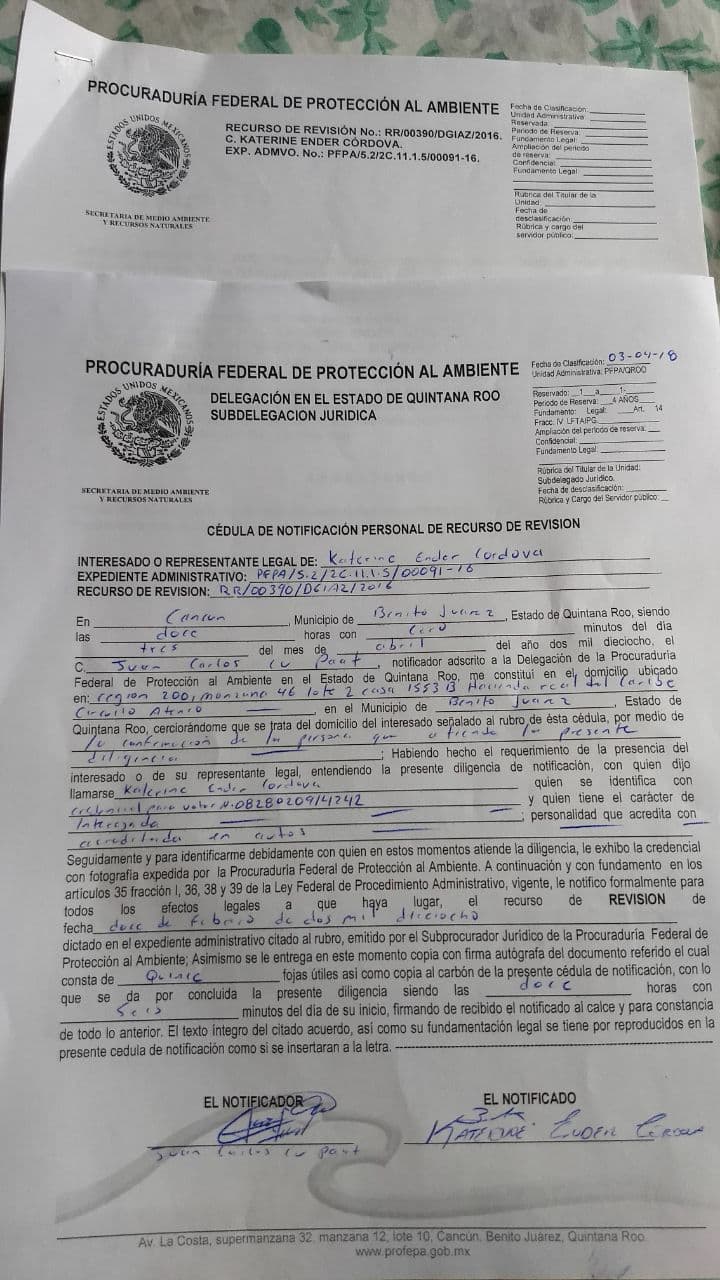 Profepa exime a Fonatur de daño ambiental en Tajamar