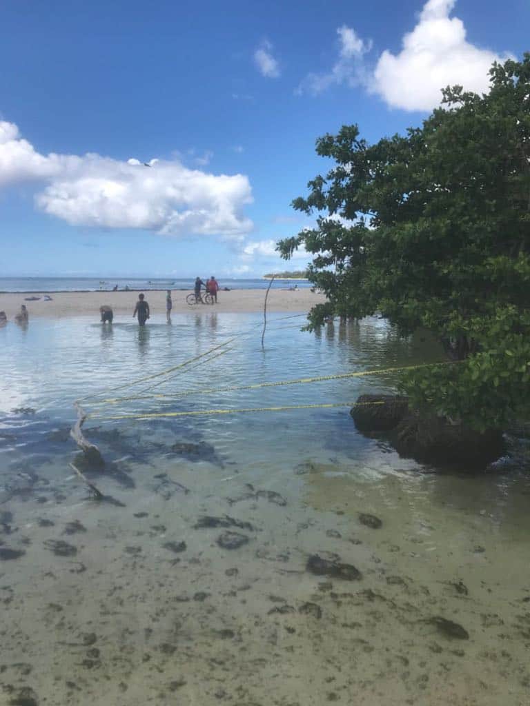 Acordonan área ante presencia de un cocodrilo