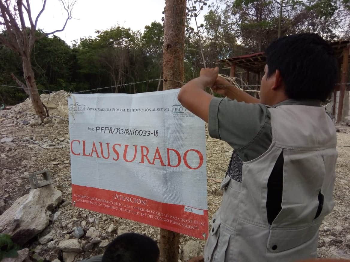 Evita Profepa que invasores acaben con flora y fauna
