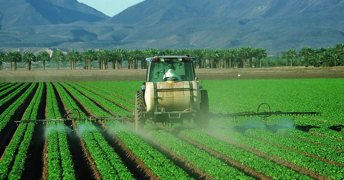 Científicos encuentran pesticida cancerígeno en alimentos de consumo común