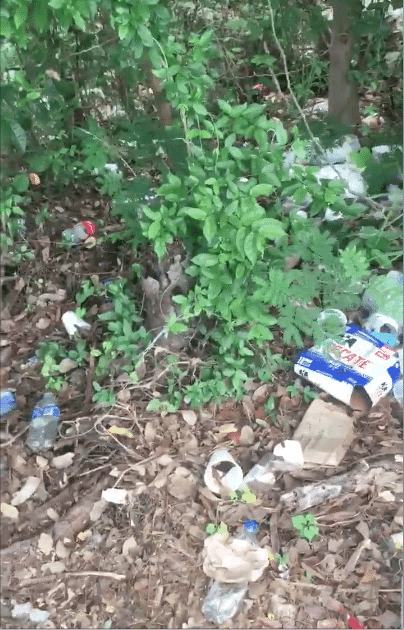 Playense pone el ejemplo recogiendo basura y se viraliza