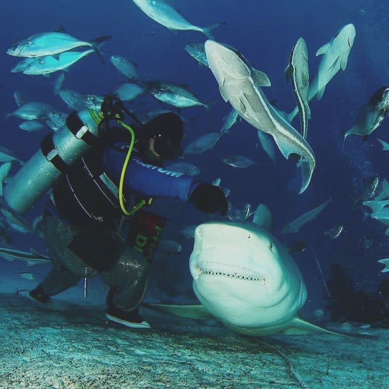Invitan a profesionales a la Reunión Informativa Reserva de la Biósfera Caribe Mexicano