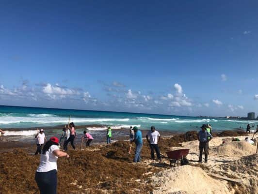 Inusual arribo de sargazo en Playa Delfines